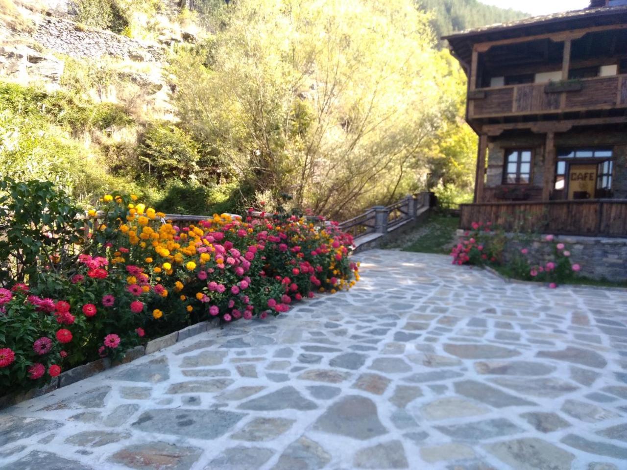Kyshta Za Gosti Gospodevi Gorno Dryanovo ภายนอก รูปภาพ